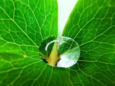 I am, praise the Lord